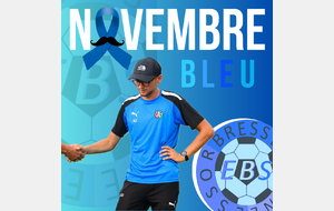 NOVEMBRE BLEU